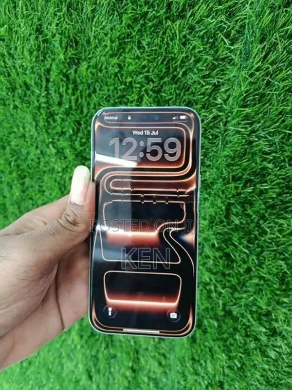 Apple iPhone 17 Pro Max (Used)