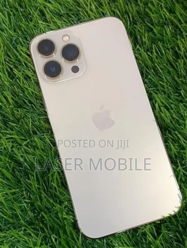 Apple iPhone 13 Pro Max 128GB (Used)