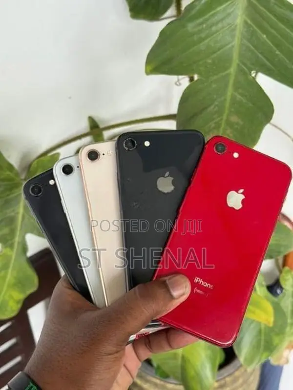 Apple iPhone 8 256GB (Used)