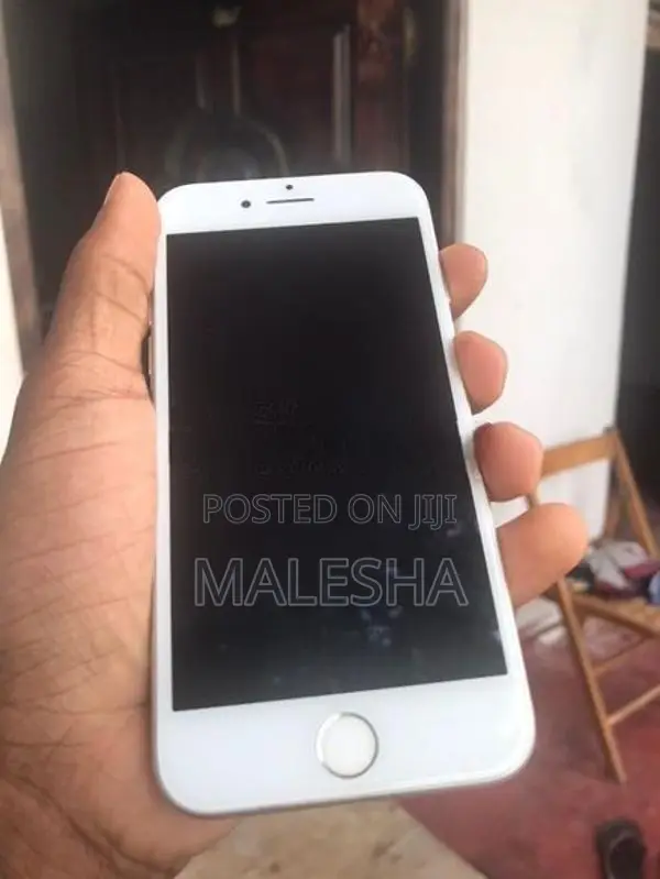 Apple iPhone 7 (Used)