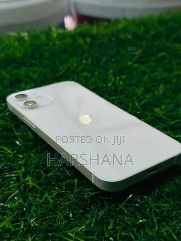 Apple iPhone 12 mini (Used)