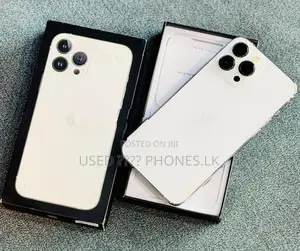 Apple iPhone 13 Pro Max 256GB (Used)