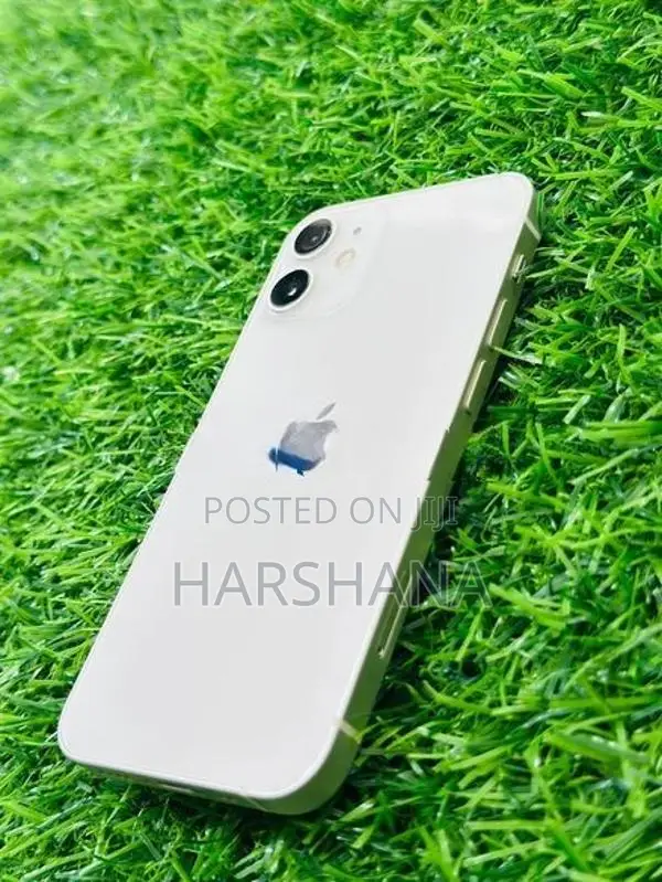 Apple iPhone 12 mini (Used)