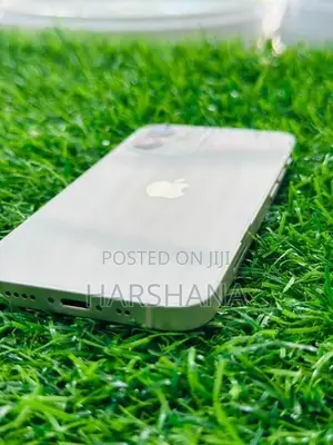 Apple iPhone 12 mini (Used)
