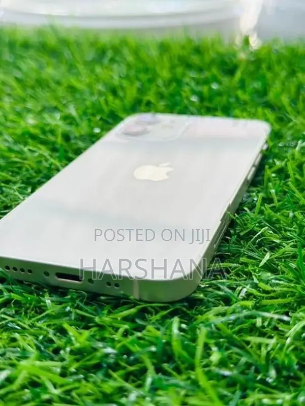 Apple iPhone 12 mini (Used)