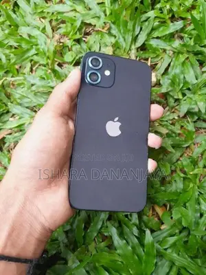 Apple iPhone 12 (Used)