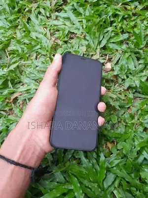 Apple iPhone 12 (Used)