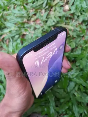 Apple iPhone 12 (Used)