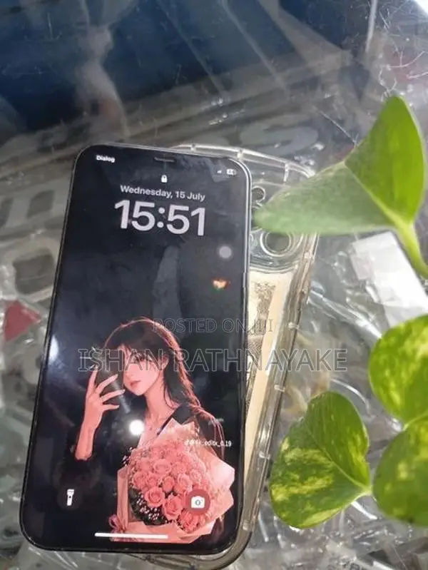 Apple iPhone 12 Pro (Used)