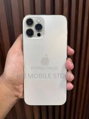 Apple iPhone 12 Pro Max (Used)