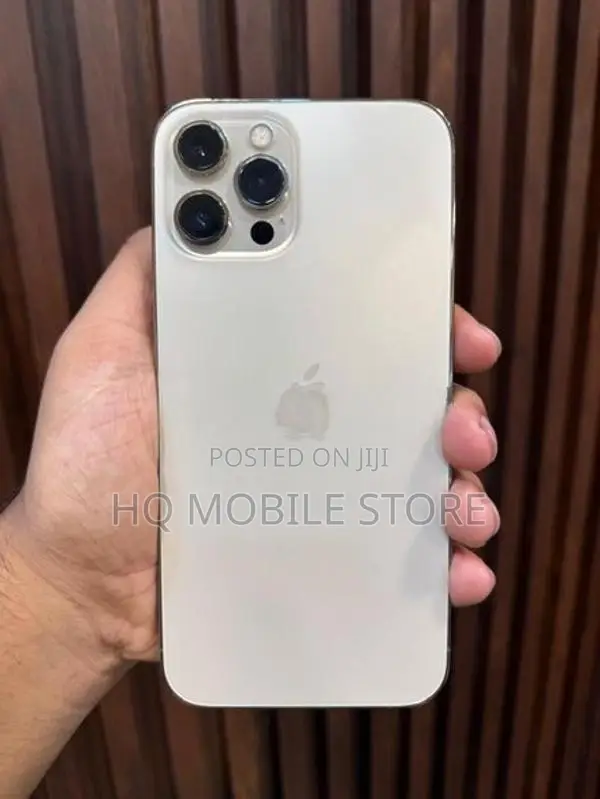 Apple iPhone 12 Pro Max (Used)