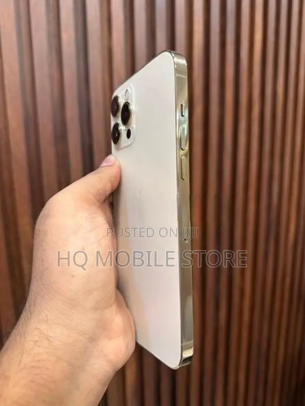 Apple iPhone 12 Pro Max (Used)