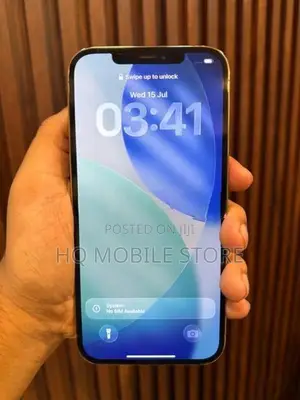 Apple iPhone 12 Pro Max (Used)