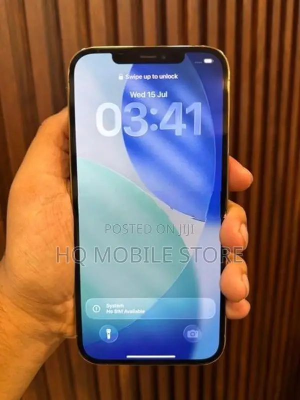 Apple iPhone 12 Pro Max (Used)