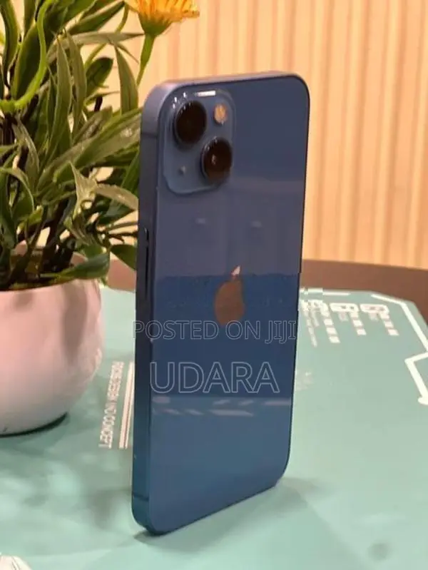 Apple iPhone 13 (Used)