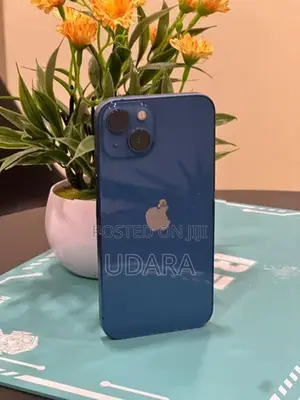 Apple iPhone 13 (Used)