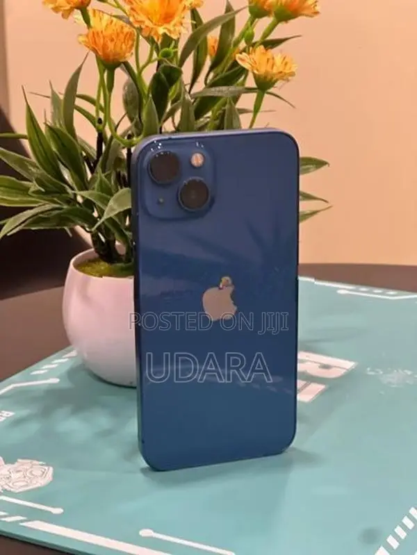 Apple iPhone 13 (Used)