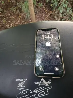 Apple iPhone 12 (Used)