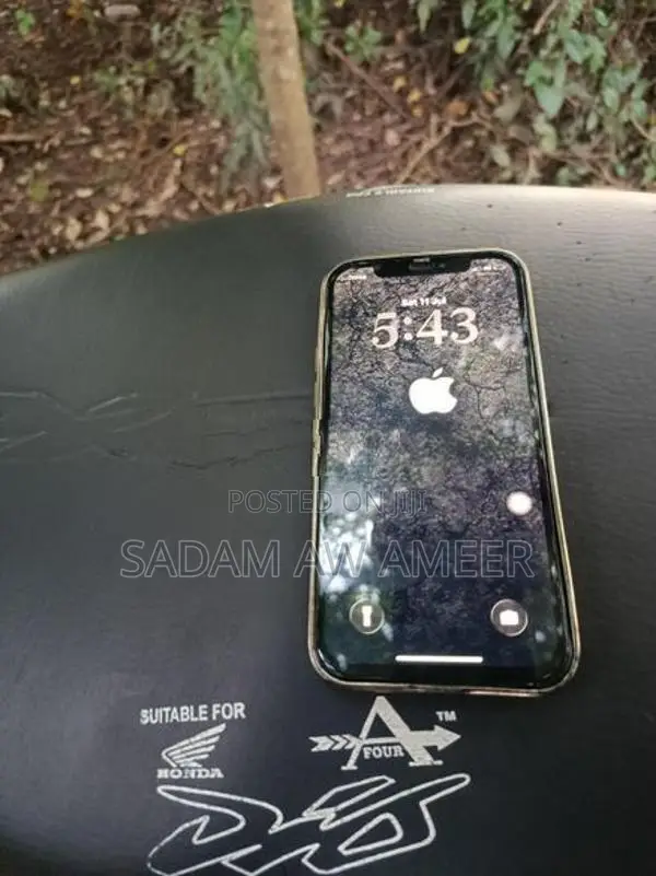Apple iPhone 12 (Used)