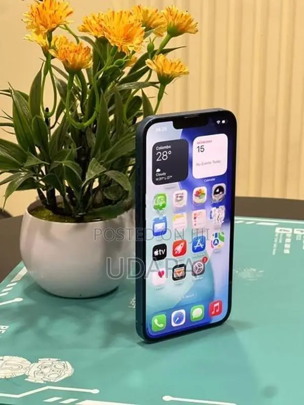 Apple iPhone 13 (Used)