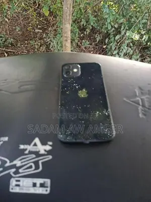 Apple iPhone 12 (Used)