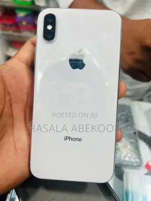 Apple iPhone X 256GB (Used)