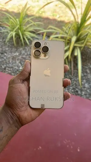 Apple iPhone 13 Pro (Used)