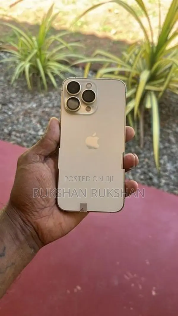Apple iPhone 13 Pro (Used)