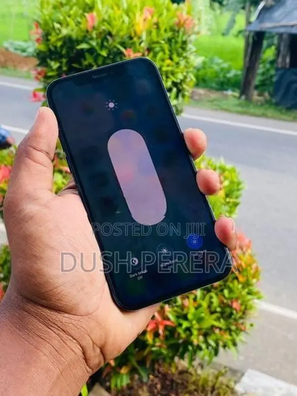 Apple iPhone 12 Pro (Used)