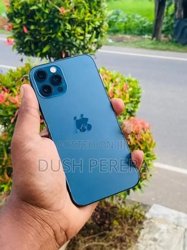 Apple iPhone 12 Pro (Used)