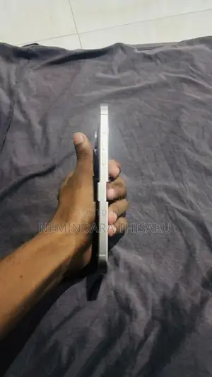 Apple iPhone 15 Pro Max (Used)