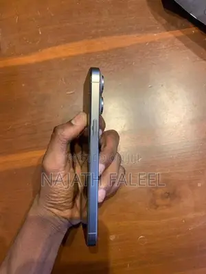 Apple iPhone 15 Pro Max Natural Titanium (Used)