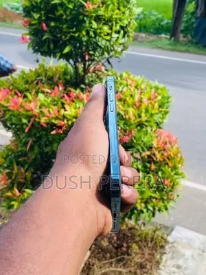 Apple iPhone 12 Pro (Used)