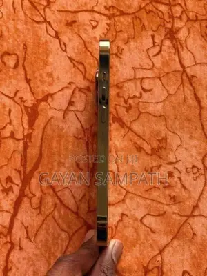 Apple iPhone 13 Pro (Used)
