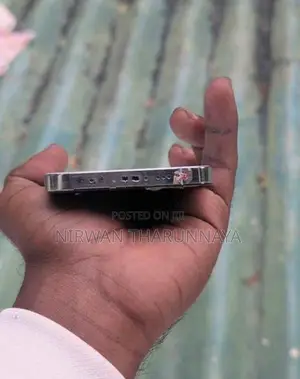 Apple iPhone 12 Pro call (Used)
