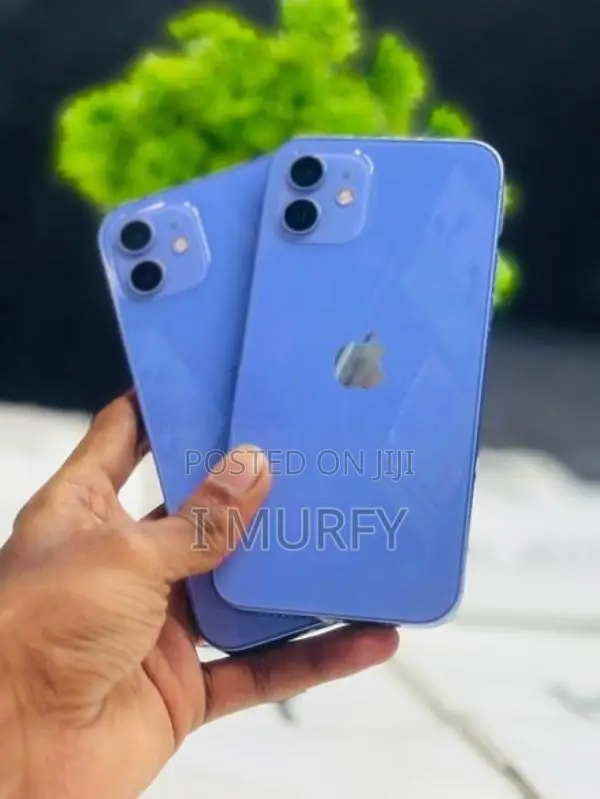 Apple iPhone 12 256GB (Used)