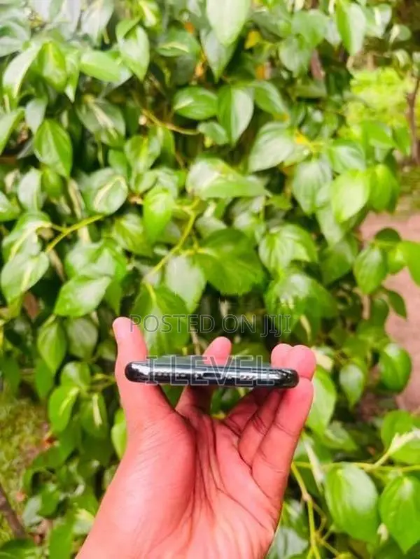 Apple iPhone 11 Pro (Used)