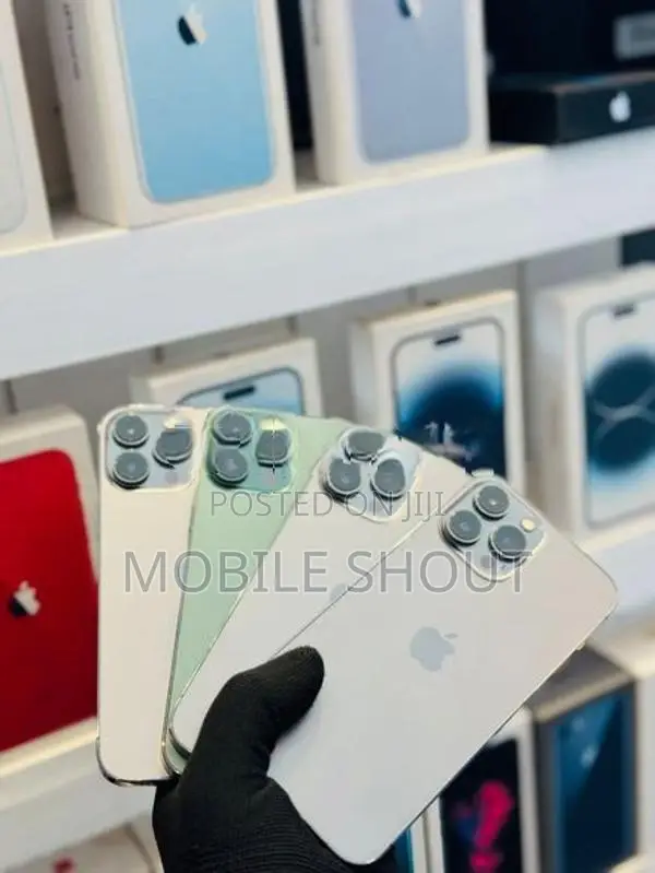 Apple iPhone 13 Pro 256GB (Used)