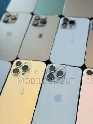 Apple iPhone 13 Pro 256GB (Used)