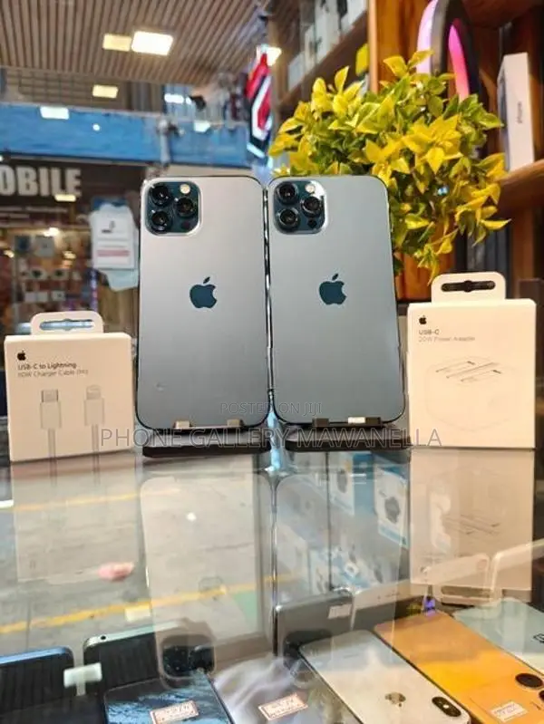 Apple iPhone 12 Pro Max 256GB (Used)