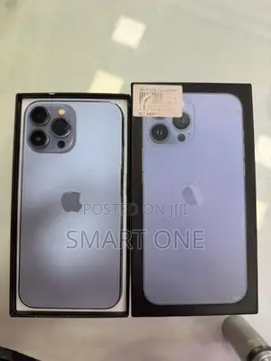 Apple iPhone 13 Pro Max 13promaxmax 256GB (Used)