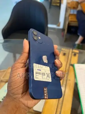 Apple iPhone 12 (Used)