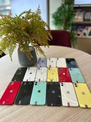 Apple iPhone 11 (Used)