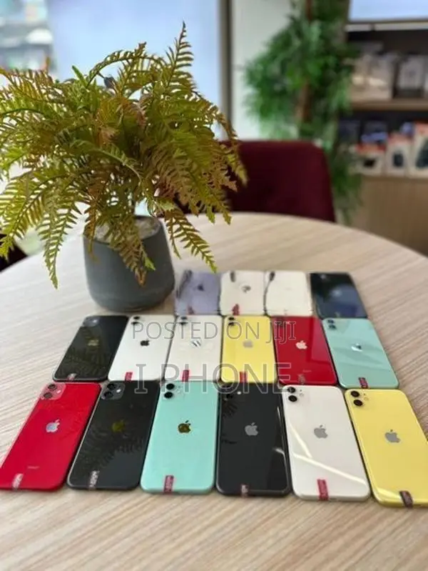 Apple iPhone 11 (Used)