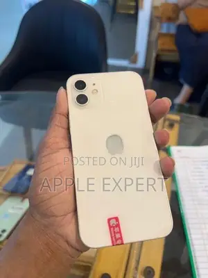 Apple iPhone 12 (Used)