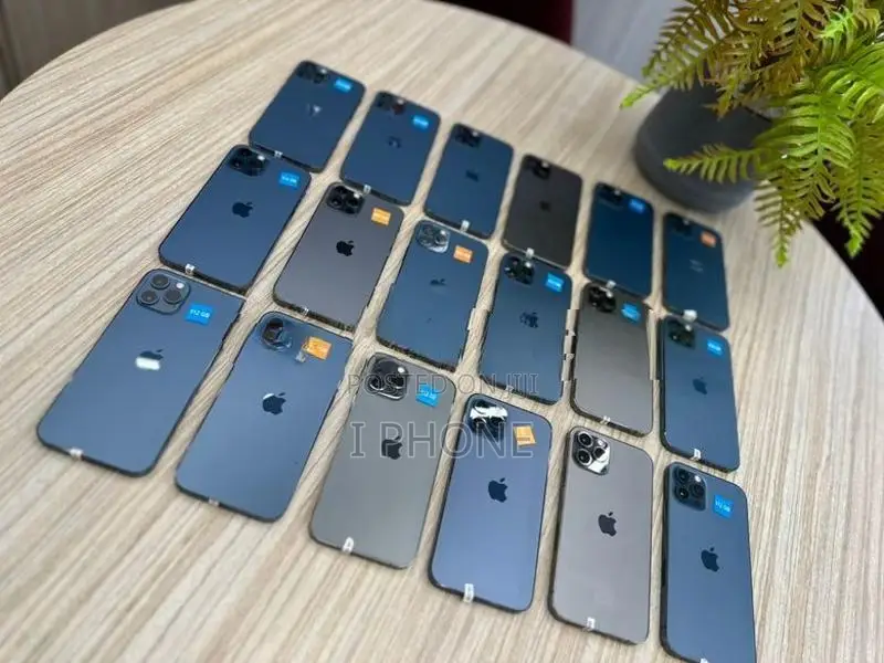 Apple iPhone 12 Pro 256GB (Used)