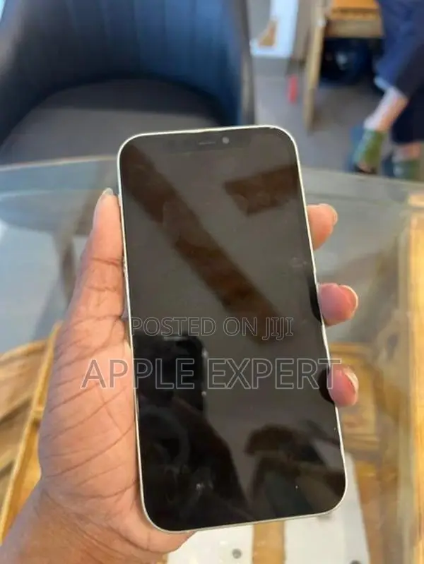 Apple iPhone 12 (Used)