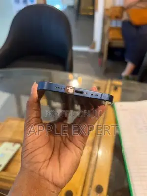 Apple iPhone 12 (Used)
