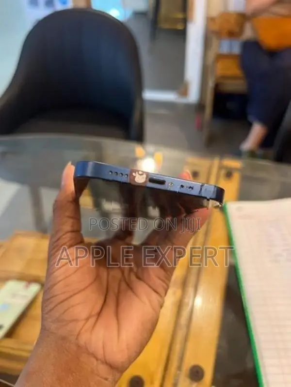 Apple iPhone 12 (Used)