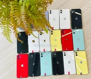 Apple iPhone 11 (Used)